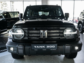 2026 Tank 300 I, чёрный, 4799000 рублей, вид 2