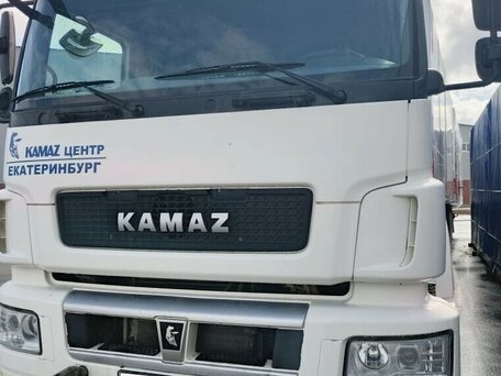 2021 КамАЗ 65206, белый, 3200000 рублей, вид 2