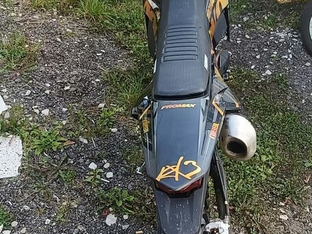2025 Promax Adventure 300, золотистый, 200000 рублей, вид 4