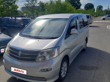 2002 Toyota Alphard I, серый, 1430000 рублей, вид 1