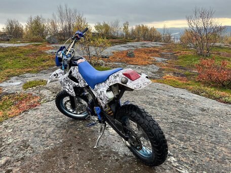 2002 Kawasaki D-tracker 250, белый, 220000 рублей, вид 4