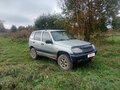 2003 Chevrolet Niva I, серебристый - вид 2