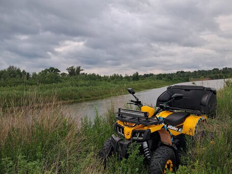 2023 Motoland ATV 200 MAX, жёлтый, 167000 рублей, вид 4