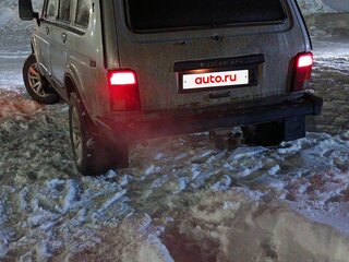 2007 Lada (ВАЗ) 2131 (4x4) I, серебристый, 320000 рублей, вид 3