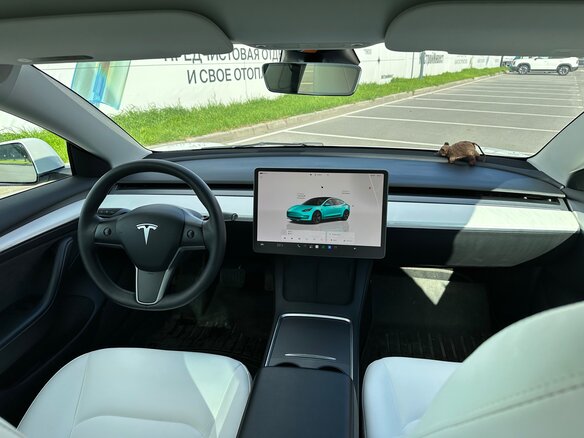 2022 Tesla Model 3 Long Range I, белый, 3690000 рублей - вид 18