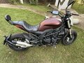 2024 Benelli 502 C, пурпурный, 500000 рублей - вид 4