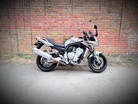 2006 Yamaha FZS1000 Fazer, серебристый, 450000 рублей, вид 1