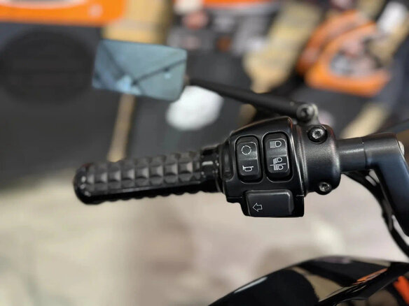 2018 Harley-Davidson FXDR 114, чёрный, 2400000 рублей - вид 15