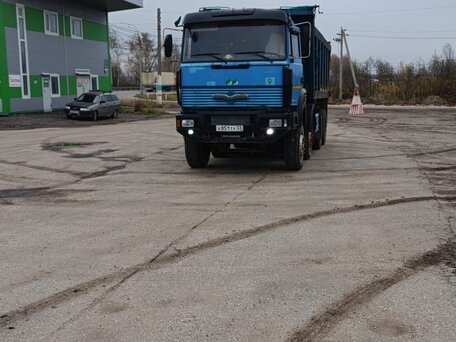 2008 Урал 6563, синий, 1100000 рублей, вид 1