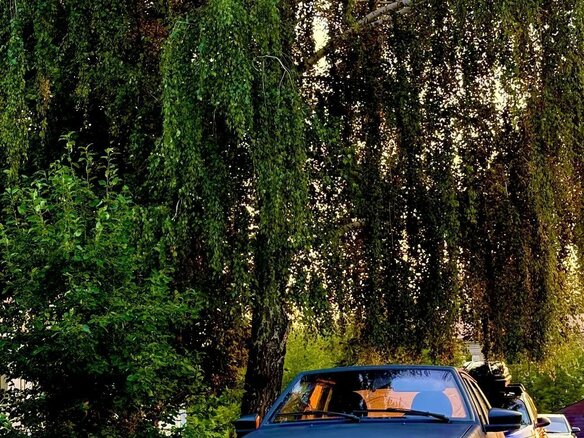 1998 Lada (ВАЗ) 2109, красный, 100000 рублей - вид 1