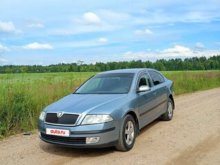 2005 Skoda Octavia II (A5), серый, 470000 рублей, вид 1