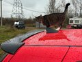 1998 Volkswagen Golf IV, красный, 666666 рублей - вид 8