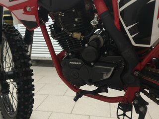 2024 Progasi Super Max 300, красный, 149999 рублей, вид 5