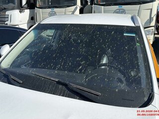2023 Geely Atlas Pro, белый, 1306000 рублей, вид 5