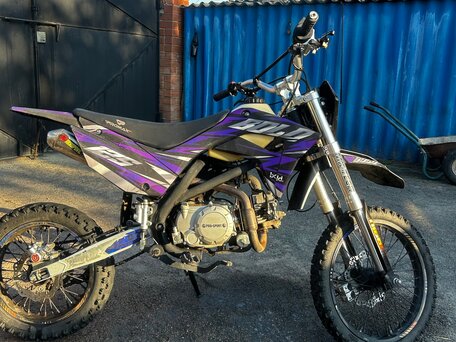 2025 Promax 150 CC, фиолетовый, 70000 рублей, вид 4