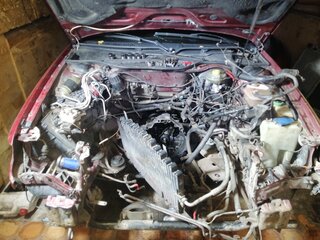 1992 Audi 100 IV (C4), красный, 279000 рублей, вид 5