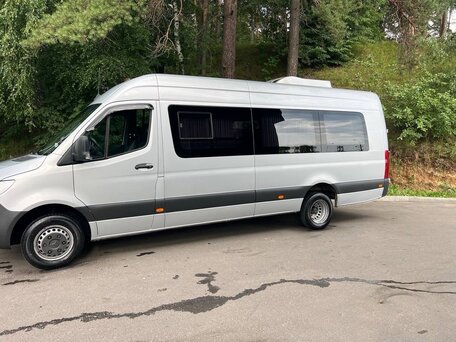 2020 Mercedes-Benz Sprinter, серебристый, 8300000 рублей, вид 5