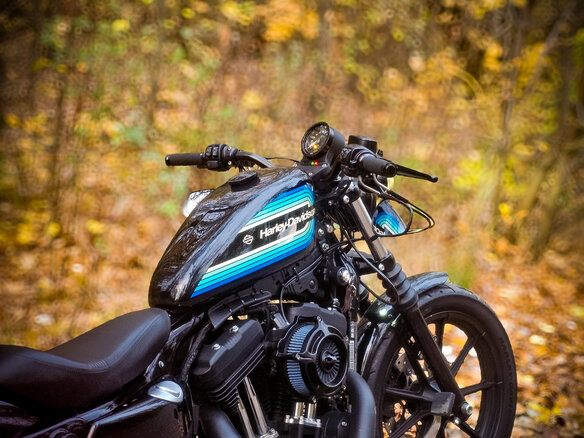 2019 Harley-Davidson Sportster 1200, чёрный, 800000 рублей
