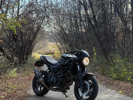 2020 Suzuki SV 650, чёрный, 585000 рублей, вид 1