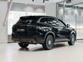 2025 Chery Tiggo 9 I, чёрный - вид 9