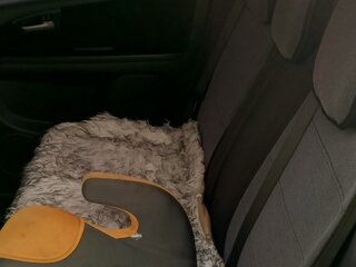 2007 Suzuki SX4 I (Classic), чёрный, 620000 рублей, вид 4
