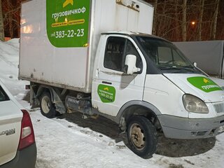 2009 ГАЗ ГАЗель (3302), белый, 600000 рублей, вид 2