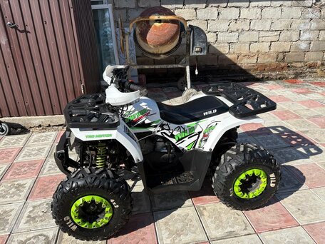 2023 Motoland Wild 125, белый, 75000 рублей, вид 4