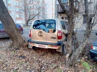 2006 Chevrolet Niva I, бежевый, 280000 рублей, вид 2