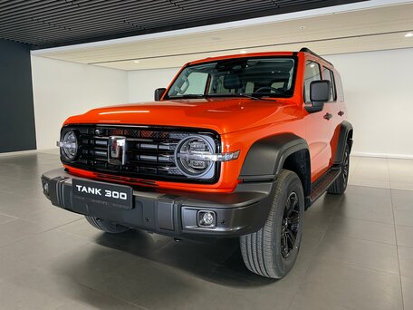 Tank 300 I