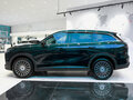 2025 Chery Tiggo 9 I, зелёный - вид 7