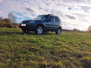2010 Chevrolet Niva I Рестайлинг, серый, 570000 рублей, вид 3