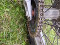 2006 KTM 250 EXC, синий, 170000 рублей - вид 5