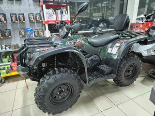 2026 Baltmotors Striker 500 EFI, зелёный, 659900 рублей, вид 1