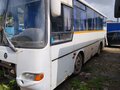 2006 ПАЗ 4230 Аврора, белый, 350000 рублей - вид 1