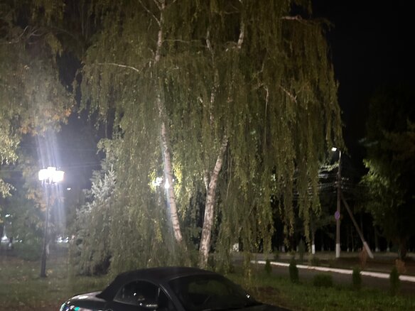 2000 Audi TT I (8N), зелёный, 1570000 рублей - вид 21