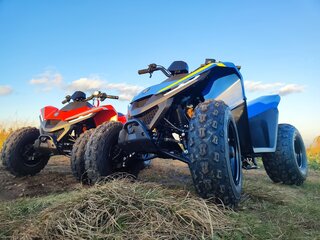 2025 Другие ATV (другие), красный, 115000 рублей, вид 3