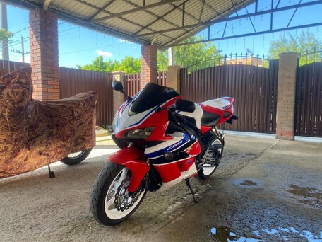 2004 Honda CBR 1000 RR/RA Fireblade, красный, 500000 рублей, вид 5