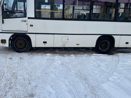 2014 ПАЗ 3204, белый, 630000 рублей, вид 3