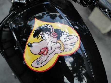 2010 Harley-Davidson V-Rod Muscle, чёрный, 1950000 рублей, вид 2