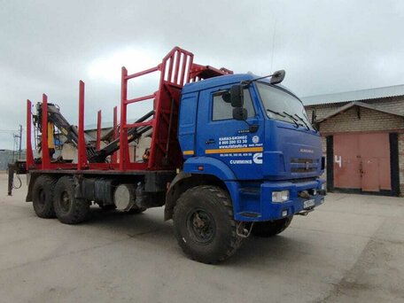 2019 КамАЗ 43118, синий, 5200000 рублей, вид 1