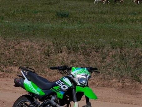 2023 Racer Panther, зелёный, 110000 рублей, вид 3
