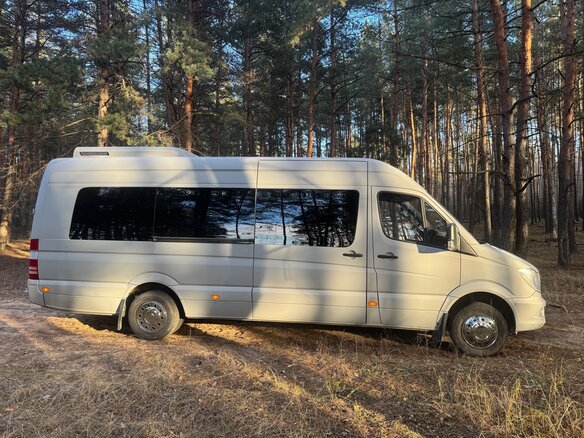 2013 Mercedes-Benz Sprinter, серый, 3999999 рублей - вид 2
