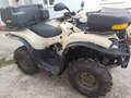 2013 Sym QuadRaider, бежевый, 465000 рублей - вид 3
