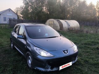 2007 Peugeot 307 I Рестайлинг, серый, 250000 рублей, вид 3