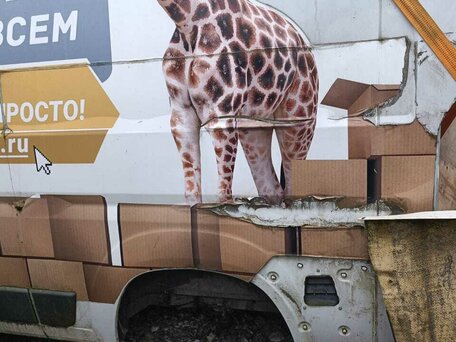 2015 Fiat Professional Ducato, белый, 500000 рублей, вид 2