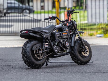2026 Lucky Duck RB200 MAX, чёрный, 119990 рублей, вид 5