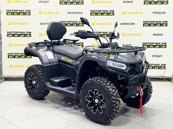 2026 Bizon YK450L EPS, серый - вид 6