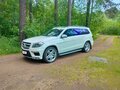 2013 Mercedes-Benz GL-Класс 350 II (X166), белый, 2750000 рублей - вид 1
