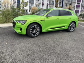 2019 Audi e-tron 50 I, зелёный, 4100000 рублей, вид 2