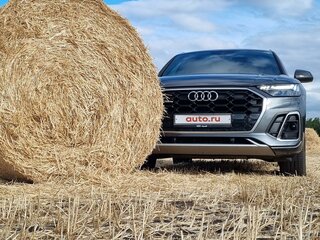 2021 Audi Q5 45 TFSI II (FY) Рестайлинг, серый, 5100000 рублей, вид 2
